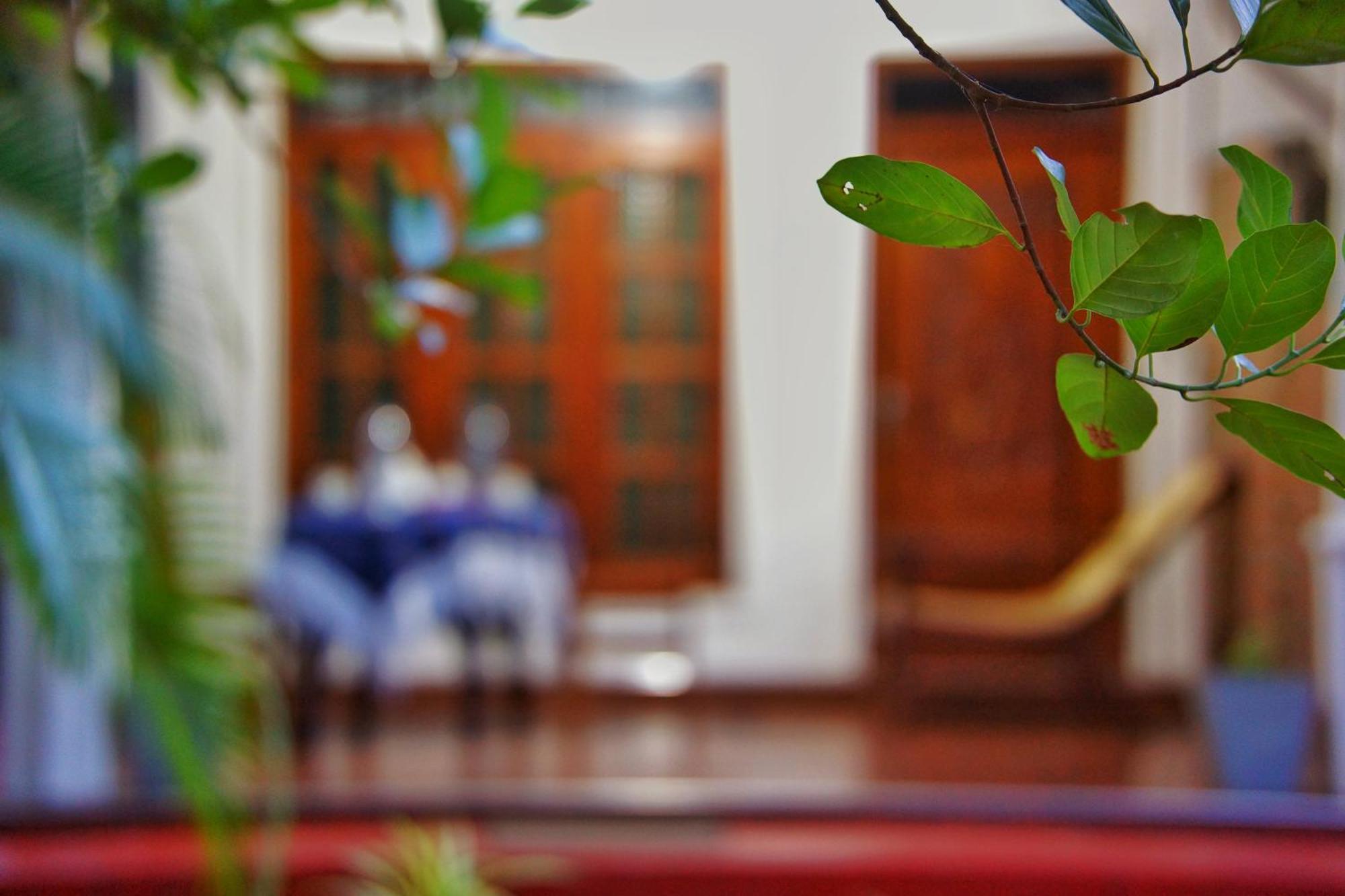 Lily'S Garden Resort Sigiriya Exteriér fotografie